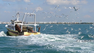  No es raro encontrarse con un barco pesquero 